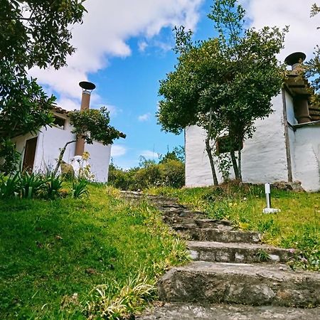 Jardin Colibri Rnt 33633 Villa Guatavita Eksteriør bilde