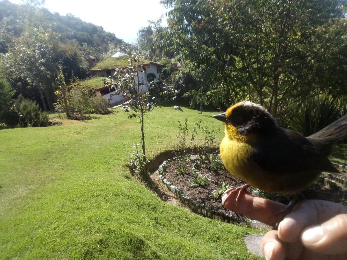 Jardin Colibri Rnt 33633 Villa Guatavita Eksteriør bilde