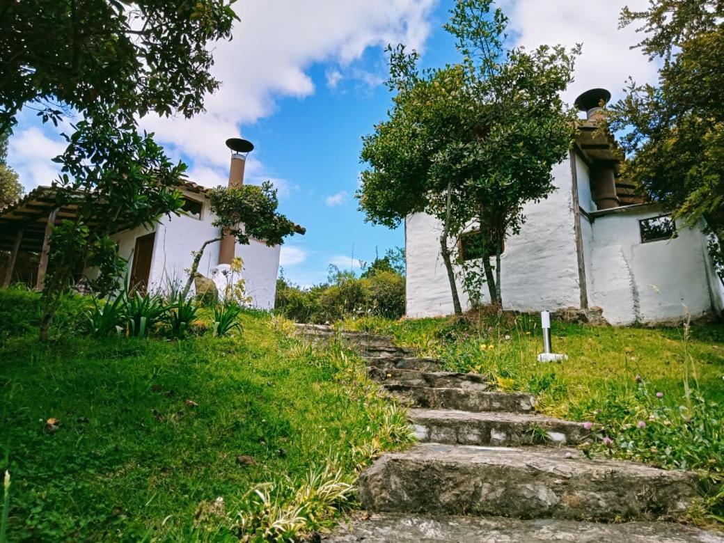 Jardin Colibri Rnt 33633 Villa Guatavita Eksteriør bilde