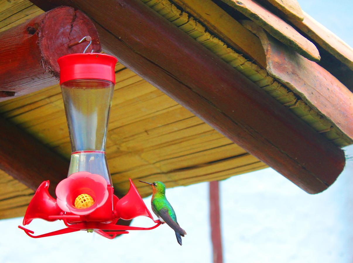 Jardin Colibri Rnt 33633 Villa Guatavita Eksteriør bilde